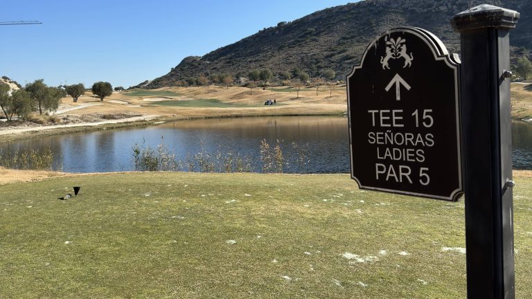 The 15th tee at Font del Llop Golf Resort